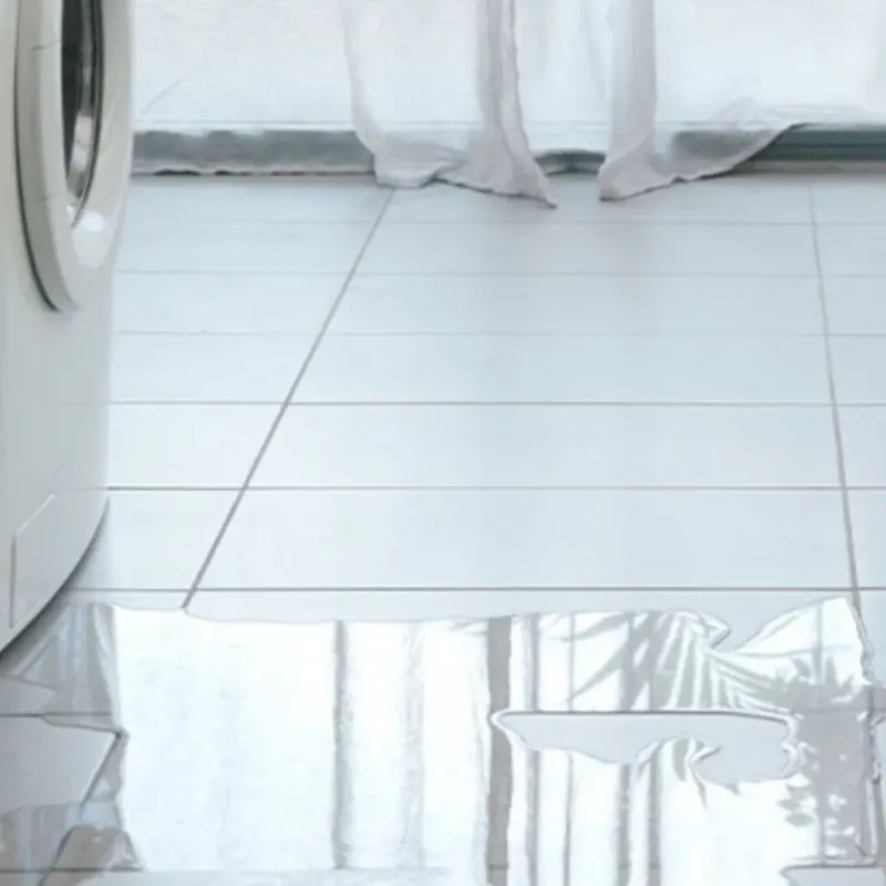 Appliance Leak Cleanup in Camilla, GA