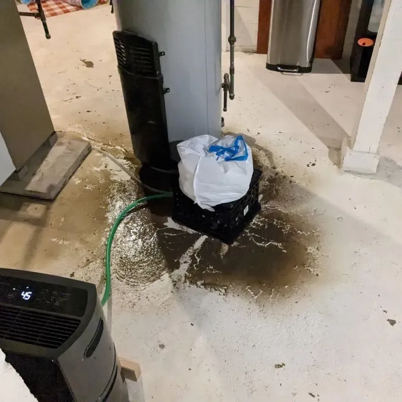 Sewage Backup Cleanup Service in Camilla, GA